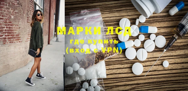 ПСИЛОЦИБИНОВЫЕ ГРИБЫ Лихославль